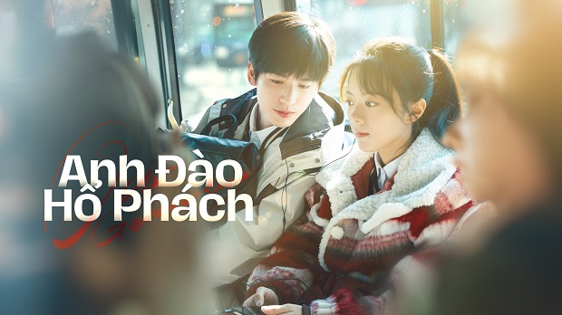 Anh Đào Hổ Phách