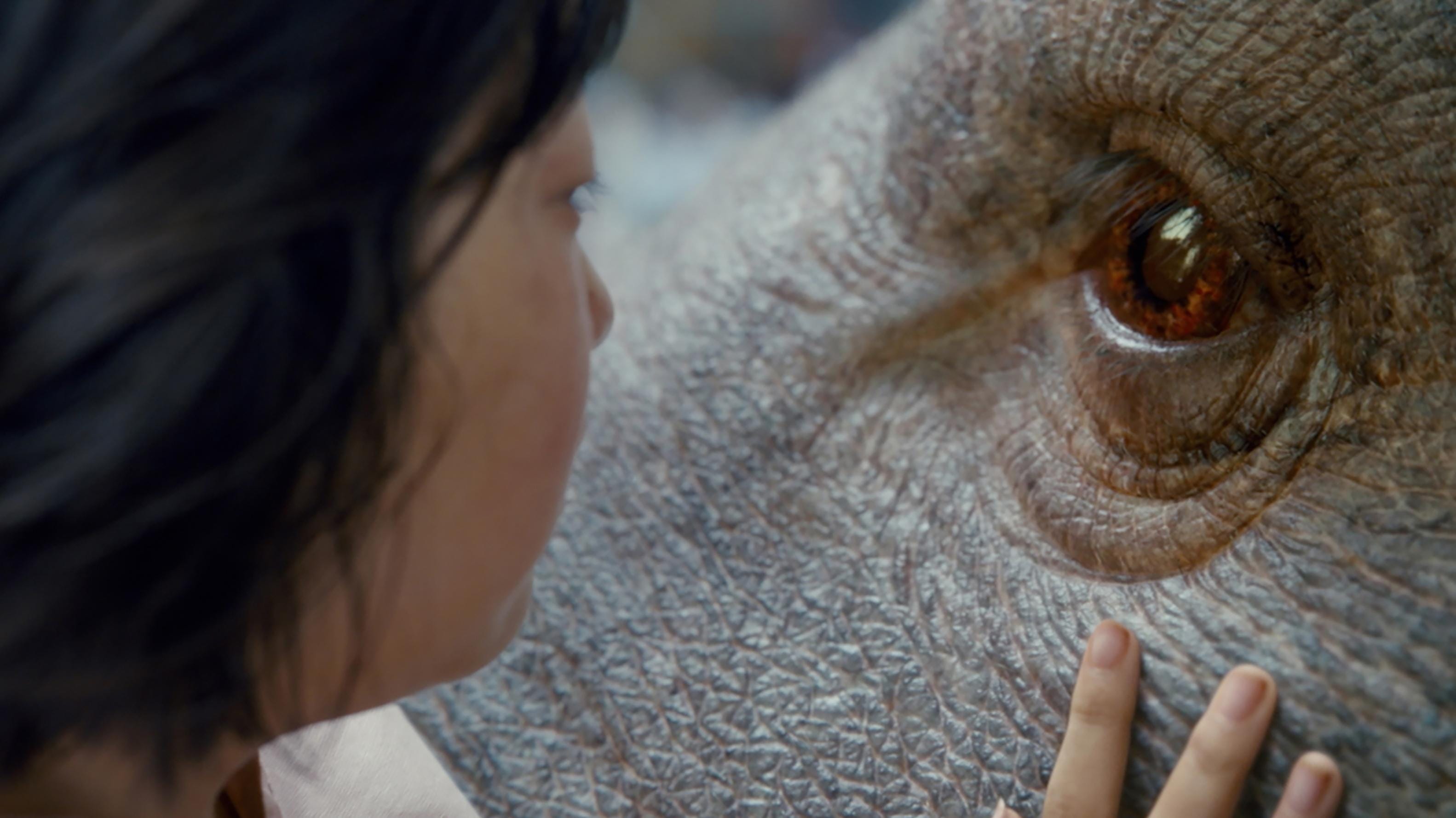Siêu Lợn Okja